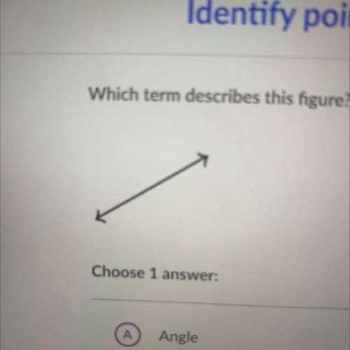 Which term describes this figure?

Choose 1 
Angle
Line
Line segment
Point
Ray
None of thes