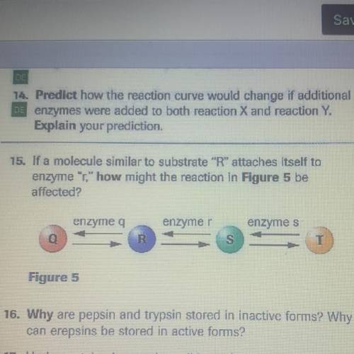 What is the answer for question 15?