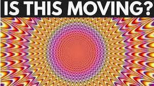 Is this moving ?????????????????????????????????????????????
