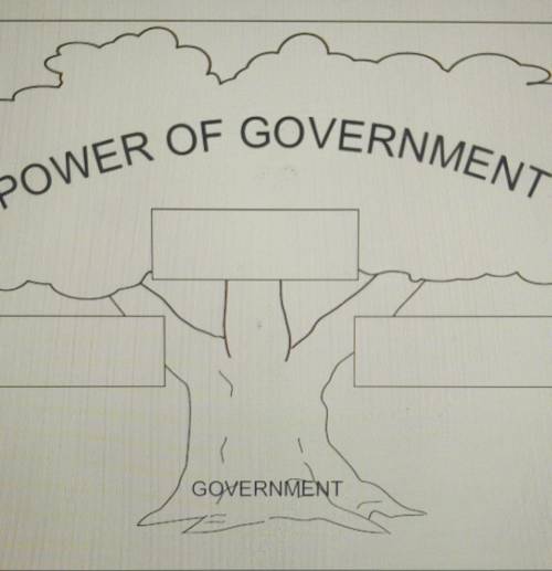 POWER OF GOVERNMENT 2. This drawing represents the tree of government. Label the three branches o