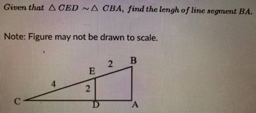 Geometry
please help asap!