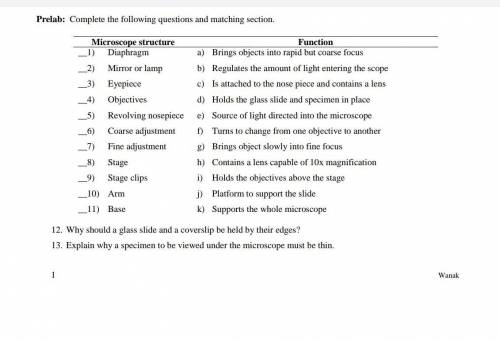 Microscope Structure and Function Worksheet

Pdf and image
Pls match the letters according to the