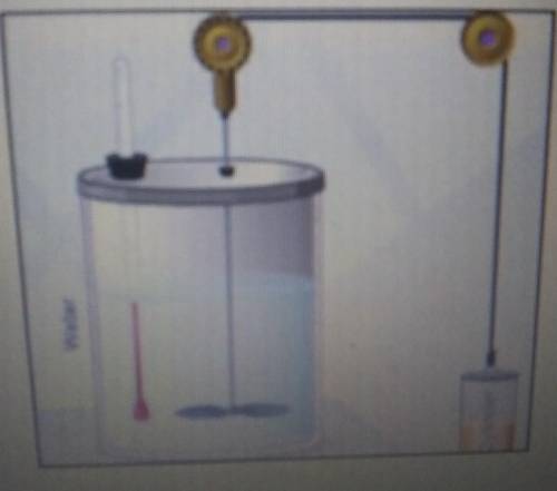 2. Click Play(). What happens as the cylinder drops? ​