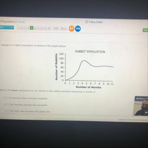 Number of Months

 
What is the best explanation for the decline in the rabbit population beginning