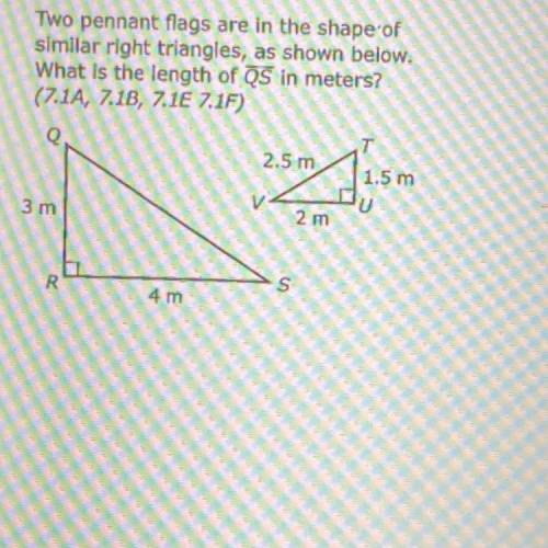Two pennant flags are in the shape of

similar right triangles, as shown below.
What is the length