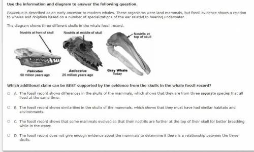 Which additional claim can be BEST supported by the evidence from the skulls in the whale fossil re
