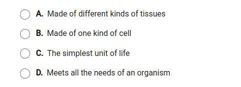 Which phase best describes an individual organ?