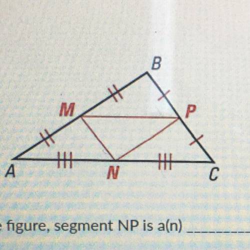 In the figure, segment NP is a(n) a. side b. mid segment c. radius