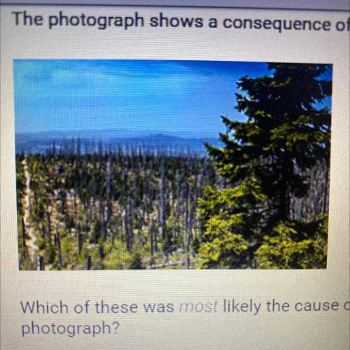 Need help

The photograph shows a consequence of air pollution.
Which of these was most likely the