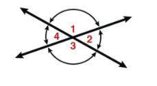 Which angles in the picture are NOT supplementary?

2 and 3; 1 and 4
1 and 2; 2 and 3
1 and 3; 2 a