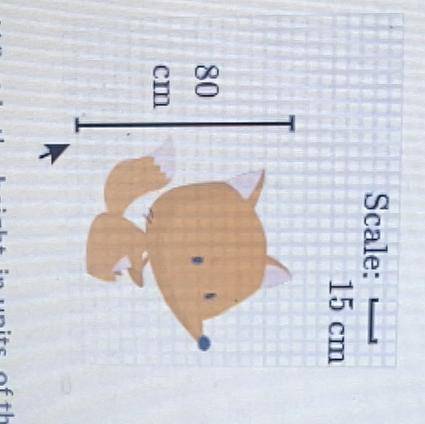 Hüseyin draws a fox on graph paper using the scale shown below . The fox has a height of 80 cm in t