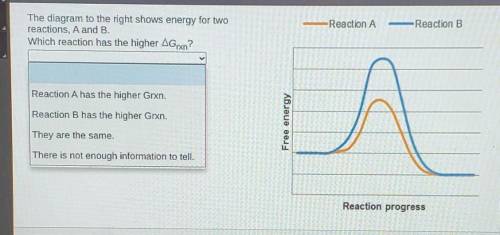15 pt

The diagram to the right shows energy for two reactions, A and B.which reaction has the hig