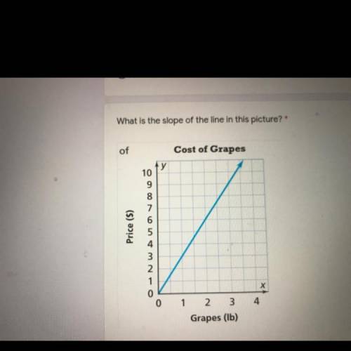 What is the slope of the line in this picture?