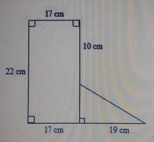 What is the perimeter of the composite figure? 107.5 cm 85 cm 97 cm 119.5 cm​