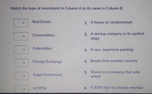 Match the type of investment in Column A to its name in Column B. Real Estate 1. A house or condomi