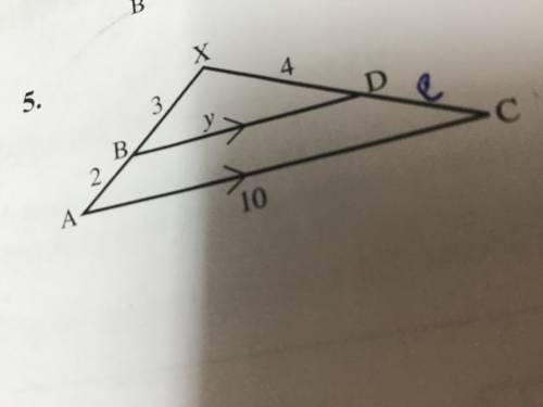 Find the length of y topic: similar figures