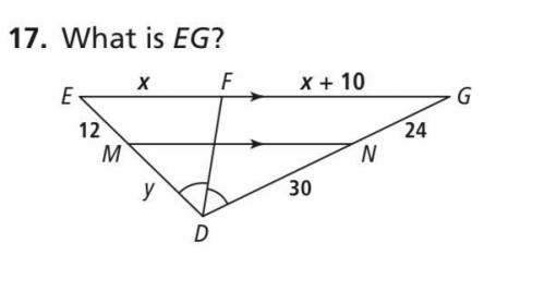 What is EG? (image below)