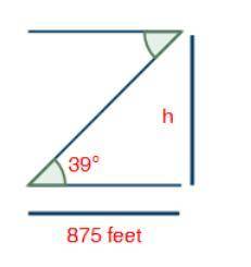 Solve for h in this right triangle. Show all steps and round your answer to the nearest hundredth.