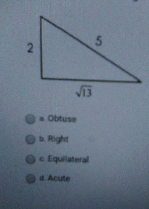 Decide whether the triangle is right, acute, or obtuse. (picture is not a scale).​