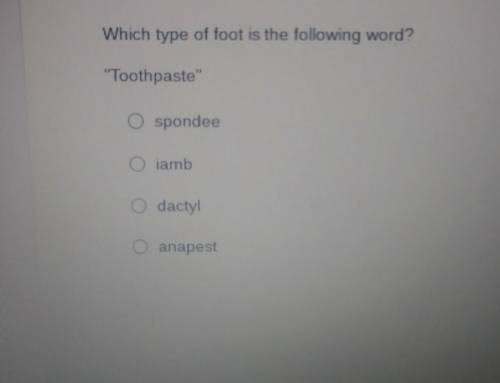 Help Me ASAP!Which type of foot is the following word? Toothpaste​
