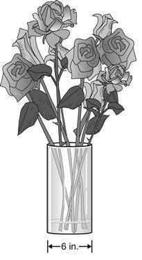A cylindrical vase with flowers is shown below. To make a ribbon bow to tie around the vase, Carla