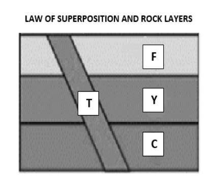 PLsss need this in 10 minutes

The diagram below shows different rock layers. Layer T represen