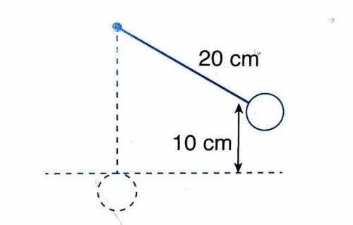 A pendulum bob is tied with a 20-cm string to a fixed point. The

pendulum bob is raised to a heig