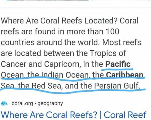 Where in the world do we find coral reef ?