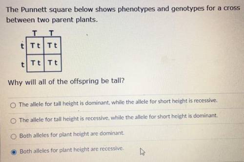 Please help me! its for a hw question