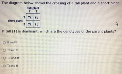 Please help me with this homework question!