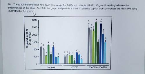 the graph below shows how each drug works for eight different patients worked annoyed spelling indi