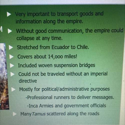 Why is the Inca road system important? 
(Look at pic)
How should I explain it?