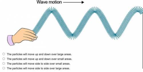 What is the motion of the particles in this wave?