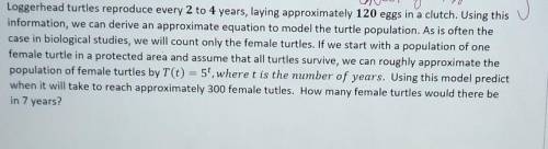 T(t)=5^T using this model when it will take to reach approximately 300 female turtle? how many fema