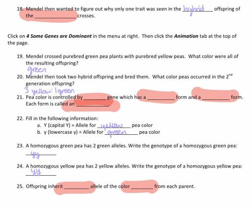 Ok, I figured out some more answers but I’m still unsure about the highlighted ones.