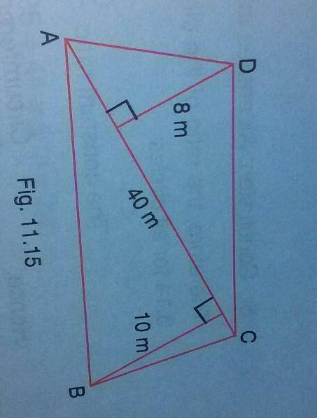 12. A diagonal of a quadrilateral is 40 m long and the

perpendiculars to it from the opposite cor