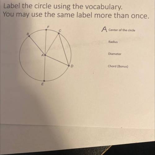 Label the circle using the vocabulary.

You may use the same label more than once.
Center of the c