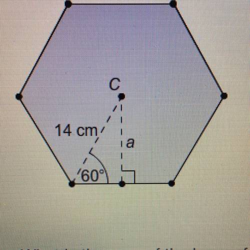 The base of a regular pyramid is a hexagon.

What is the area of the base of the pyramid?
Enter yo
