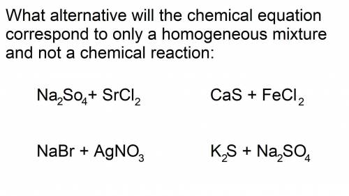 What alternative will the chemical equation correspond to only a homogeneous mixture and not a chem