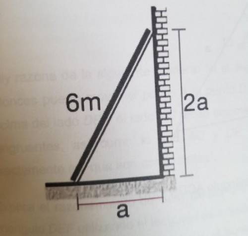 Determinar el perímetro del triángulo rectángulo que forma la escalera con la pared en la que está