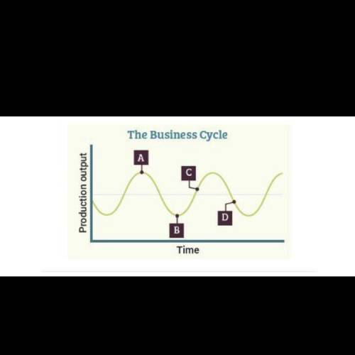 ITS ECONOMICS!!!

What does the business cycle shown on this graph suggest about the c