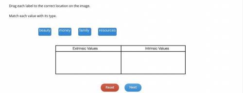 Place Letter or word in correct section where it says labels bellow

LABELS
Extrinsic Values Or In