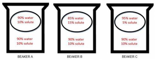 Which beaker shows the cell in a hypotonic solution?
A
B
C
