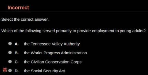 Which of the following served primarily to provide employment to young adults? HINT: It's not D.