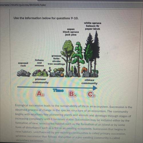 Ecological succession leads to the sustainability of life in an ecosystem. Succession is the

obse