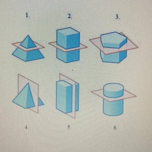 What is the shape of these figures cut in half?