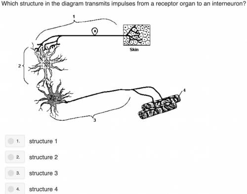 Hi, members! 25 points for a middle school biology question!