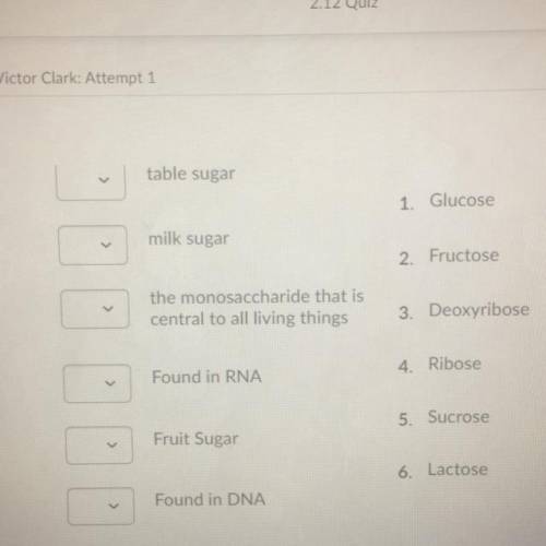 PLEASE HELP ME Match the description to the sugar.