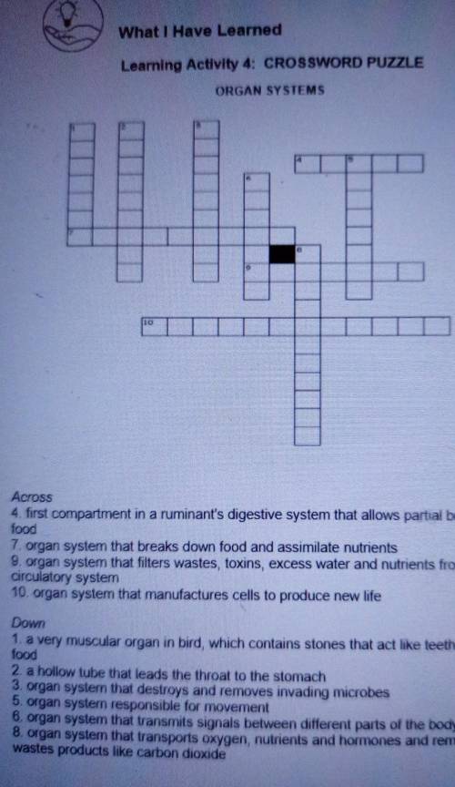 Learning activity 4:crossword puzzle​