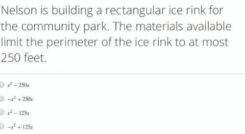 Nelson is building a rectangular ice rink for

the community park. The materials available
limit t